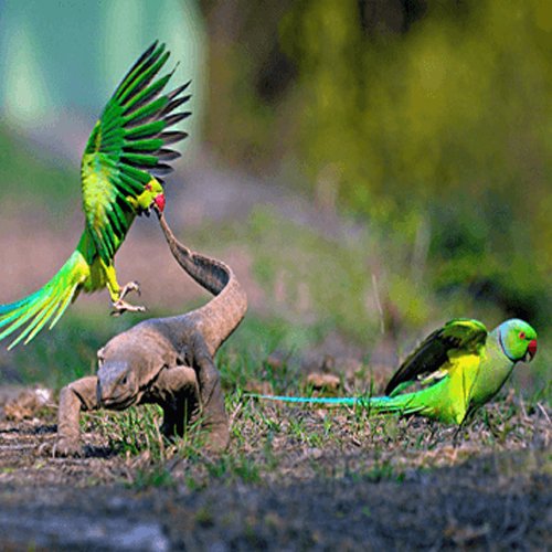 listing-details-carousel