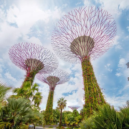 listing-details-carousel