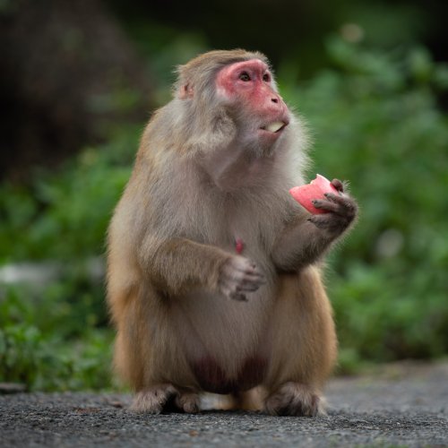 listing-details-carousel