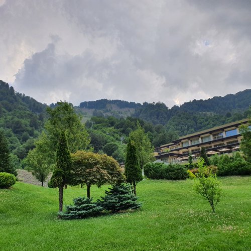 listing-details-carousel